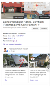 Billede af et videnspanel i en Googlesøgnng