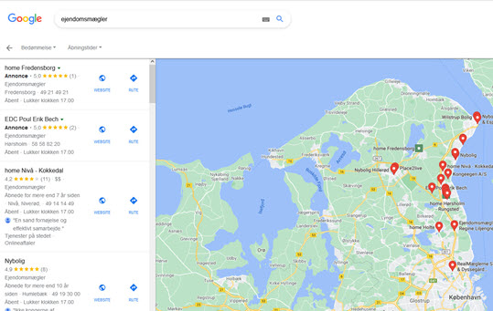 Billedet viser en Google søgning på ejendomsmæglere i Google Maps. Dere vises 20 resultater.