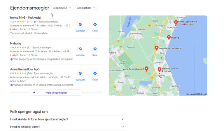 billede der viser et søgeresultat på ejendomsmægler på google
