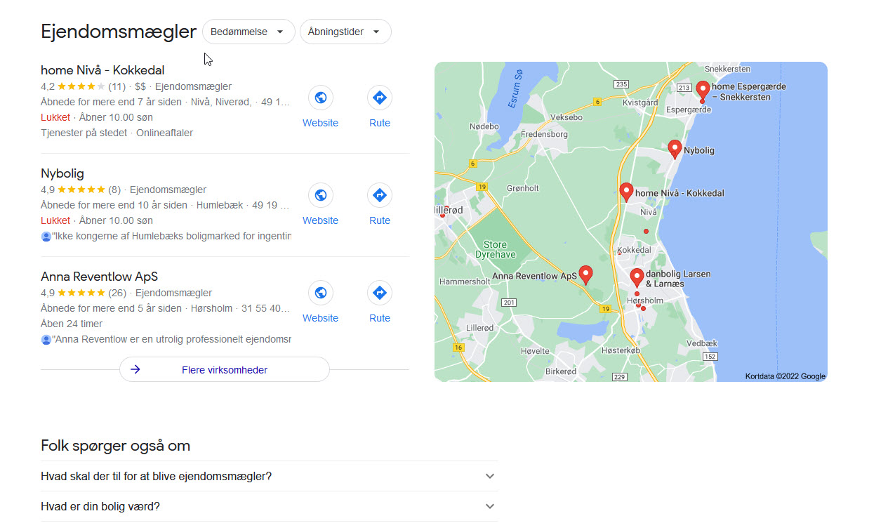 billede der viser et søgeresultat på ejendomsmægler på google